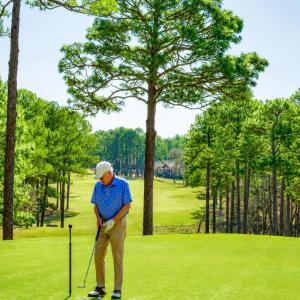 Photo #18 of 13 Abington, Pinehurst, NC 1.0 acres