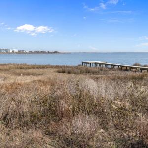 4-web-or-mls-1S3A9878