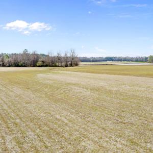 DJI_0661