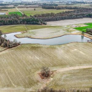 DJI_0705