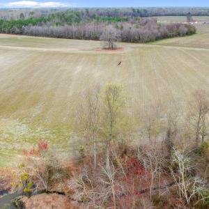 DJI_0739