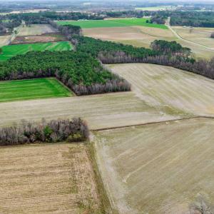 DJI_0710