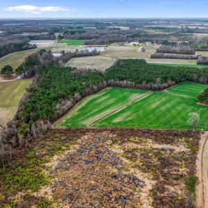 DJI_0698