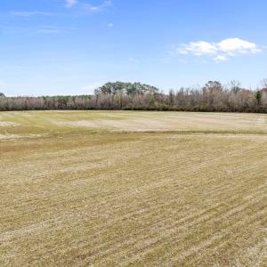 DJI_0656