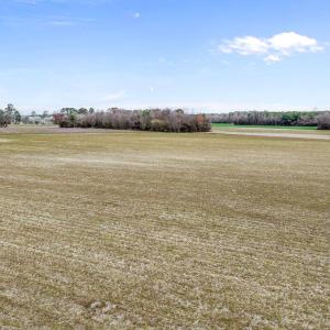 DJI_0651