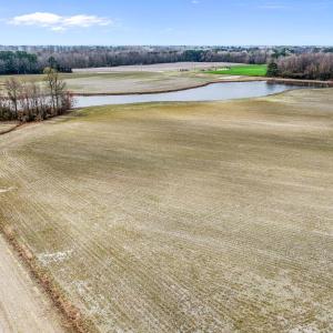 DJI_0771