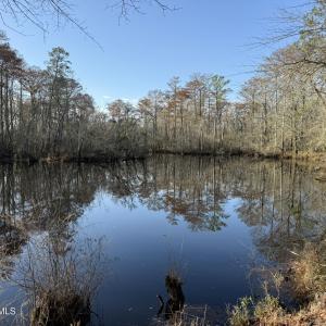 IMG_1055