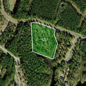 BaileyPointe-Lots-32-33-Sat2