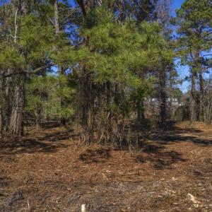 327 Chadwick Shores - Stills - Edited_3