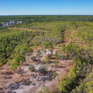 2696YellowPoplarPath - 12