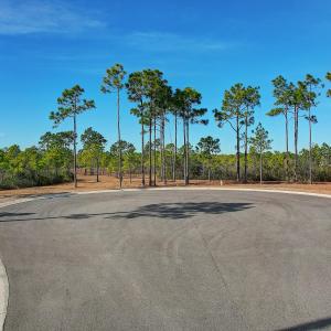 2696YellowPoplarPath - 1