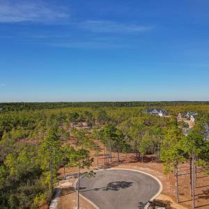 2696YellowPoplarPath - 2