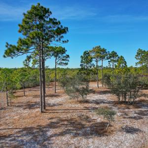 2696YellowPoplarPath - 14