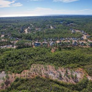 2696YellowPoplarPath - 10