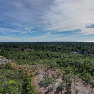 2696YellowPoplarPath - 17