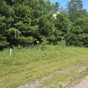 Wooded Lots