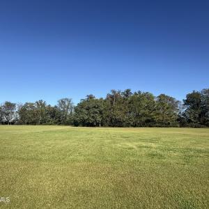Lot View