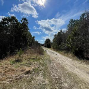 0 Split Drive SE pic 3