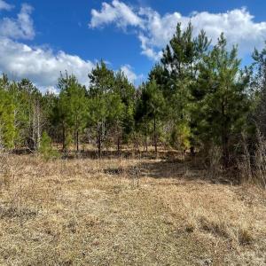 0 Split Drive SE pic 5