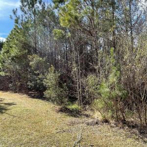 0 Split Drive SE pic 6