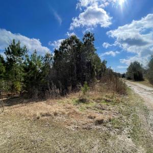 0 Split Drive SE pic 2