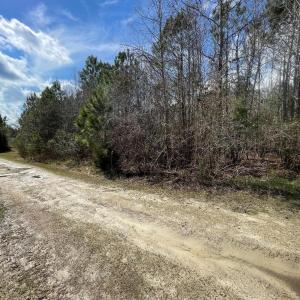 0 Split Drive SE pic 4