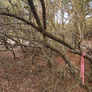 Interior elevatiion 3