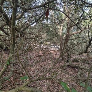 Interior 2 - elevation