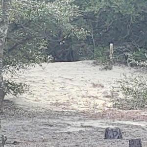 Right Rear property line post