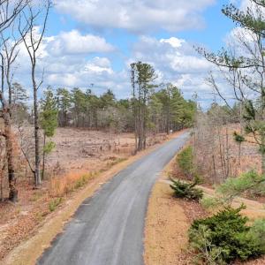 1 Simpson Rd(01 of 11)