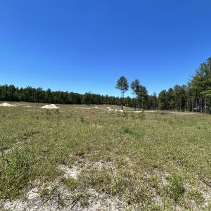 Photo #3 of 349 Lally, Aberdeen, NC 10.3 acres