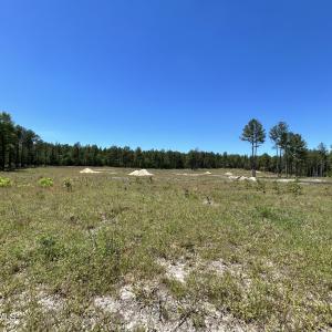 Photo #1 of 349 Lally, Aberdeen, NC 10.3 acres