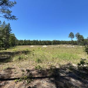 Photo #2 of 349 Lally, Aberdeen, NC 10.3 acres