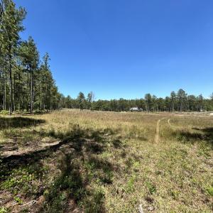 Photo #4 of 349 Lally, Aberdeen, NC 10.3 acres