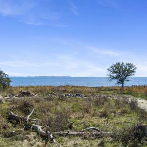 1-web-or-mls-608BronnaSt-3-9-26-002