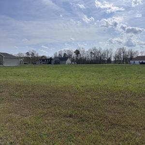 Lot 53