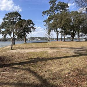 Bonner Point