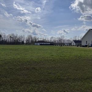 lot 53-2