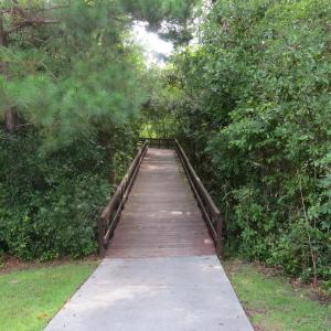 Paths