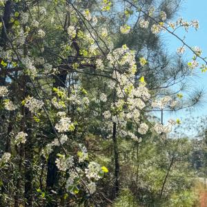 Lot 14 Brickyard Rd MLS-12