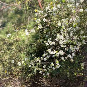 Lot 14 Brickyard Rd MLS-23