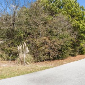 15-web-or-mls-IMG_4065