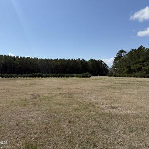 IMG_1239