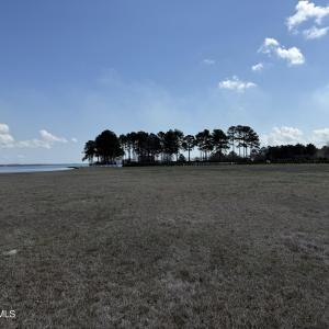 IMG_1230
