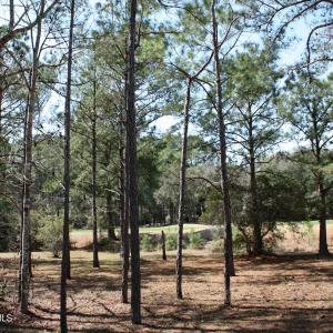 Lindgrove Golf Views