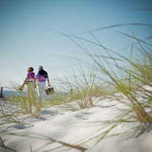 Stroll the Beach