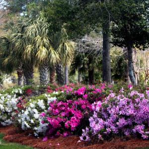 Beautiful, Lush, Well-Maintained Grounds