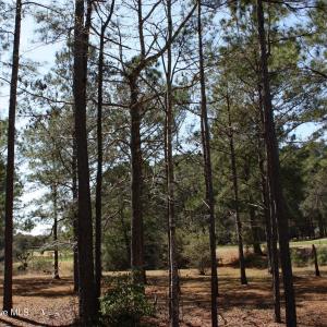 569 Lindgrove Golf and Pond Views