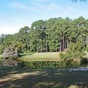 Scenic Pond & Golf Views from Site 12