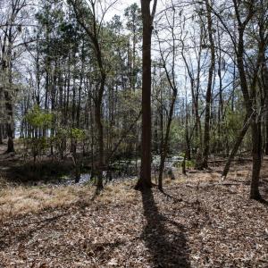 36-web-or-mls-DSC_8241